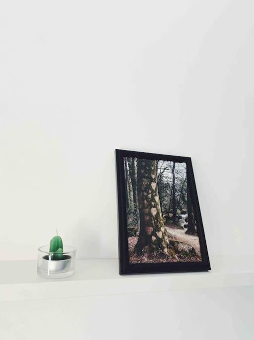 Precioso Apartamento Con Banera Hidromasaje 索佩拉纳 外观 照片